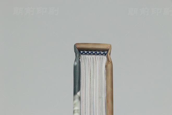 廣州產(chǎn)品畫冊(cè)設(shè)計(jì)印刷 廣州制作畫冊(cè)設(shè)計(jì)