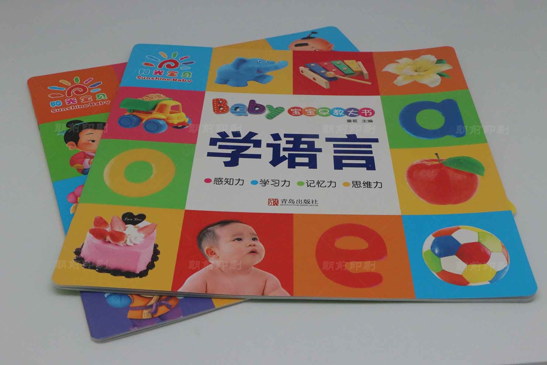 廣州供銷產(chǎn)品畫冊(cè)印刷 廣州印刷一份畫冊(cè)需要多少錢