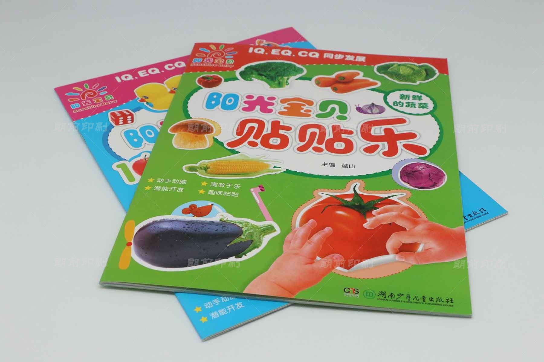 廣州幼兒園宣傳畫冊(cè)設(shè)計(jì)制作 廣州畫冊(cè)制作設(shè)計(jì)公司