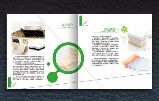 廣州企業(yè)畫冊印刷的公司 廣州關(guān)畫冊印刷廠家